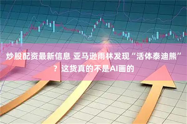 炒股配资最新信息 亚马逊雨林发现“活体泰迪熊”？这货真的不是AI画的