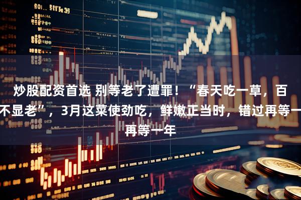炒股配资首选 别等老了遭罪！“春天吃一草，百岁不显老”，3月这菜使劲吃，鲜嫩正当时，错过再等一年